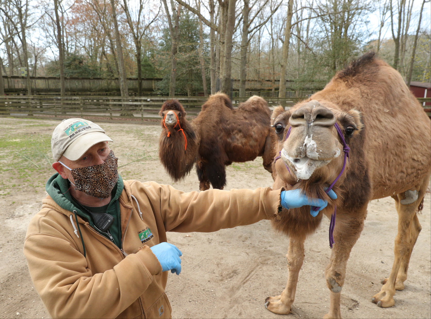 Cape May Zoo